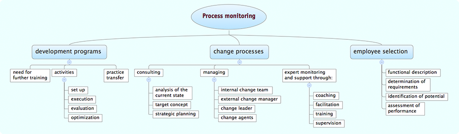 Consultancy and Process Monitoring and Support